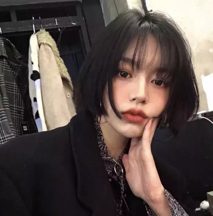 豹